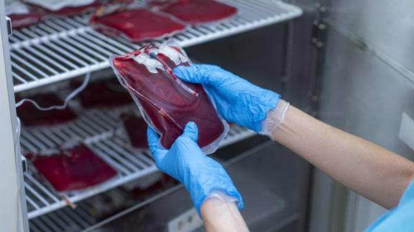 blood donation stock