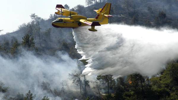 resceu plane forest fire
