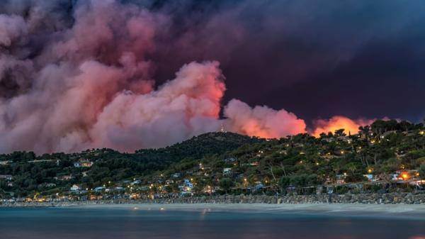 Forest fire