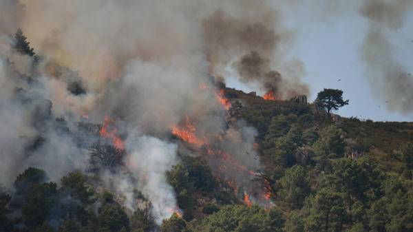 spanish forest fire