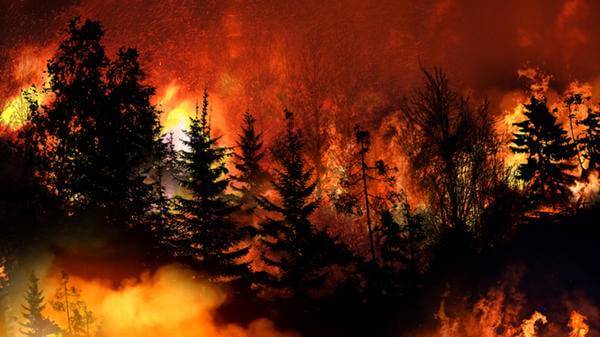 US Wildfire