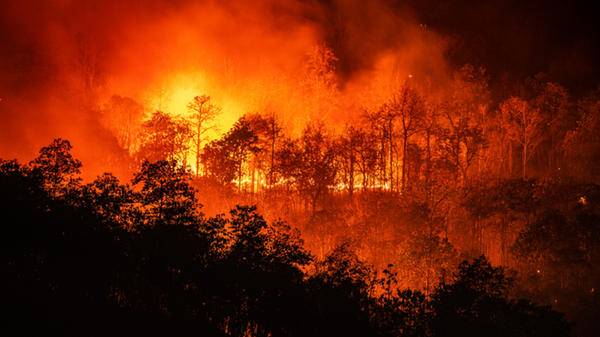 chiang mai forest fire