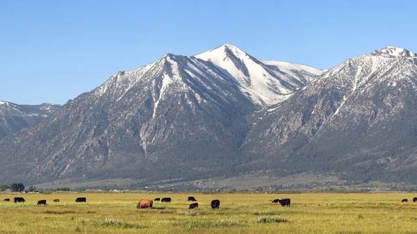 nevada mountains