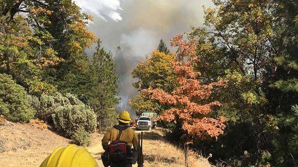 Firefighters