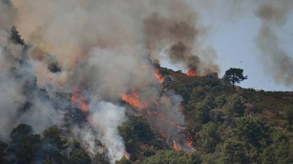 Spain wildfire