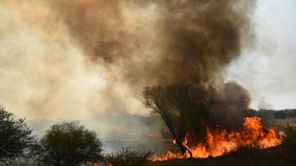 wildfire