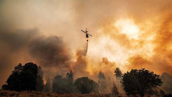 Firefighters