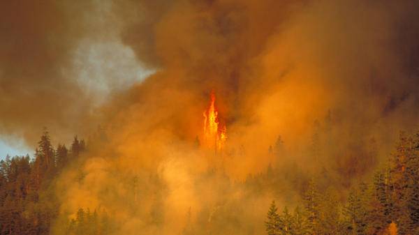 canada wildfire