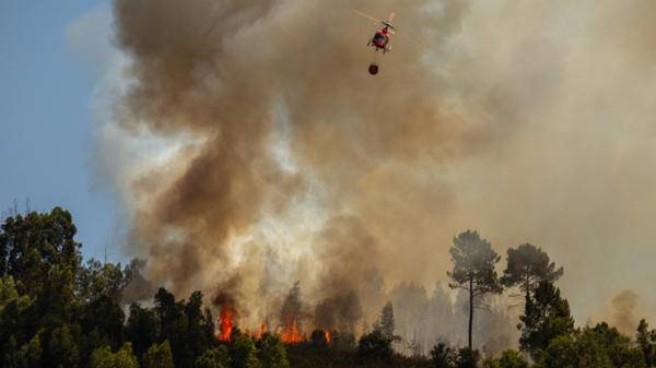 portuguese wildfire GettyImages-1408058977