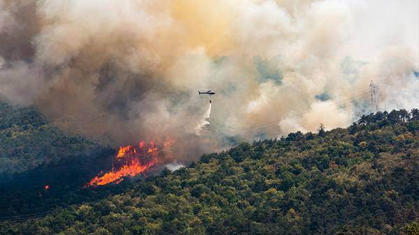 Helicopter putting out fire in forest with fire retardant