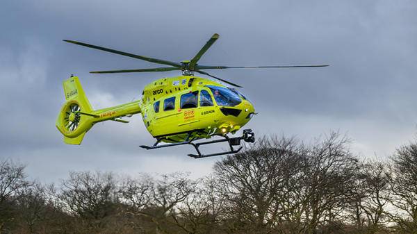 Yellow Helicopter, Trees