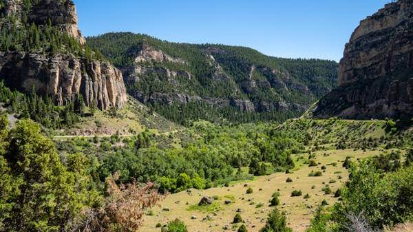 Bighorn national park