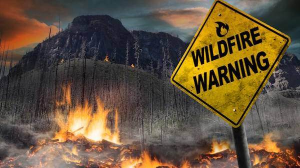 Wildfire