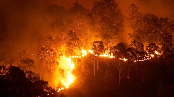 wildfire 