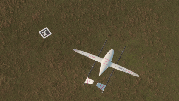 Swoop Aero Kite