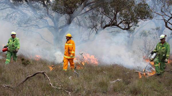 FFMVic aerial firefighting fleet prepares for high-risk summer