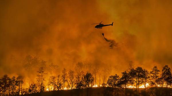 Fire fighting helicopter carry water bucket to extinguish the forest fire