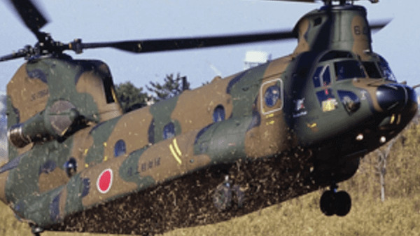 Japanese Chinook