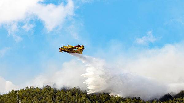 Plane dropping fire retardant on trees