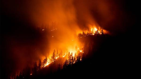 Woods on fire
