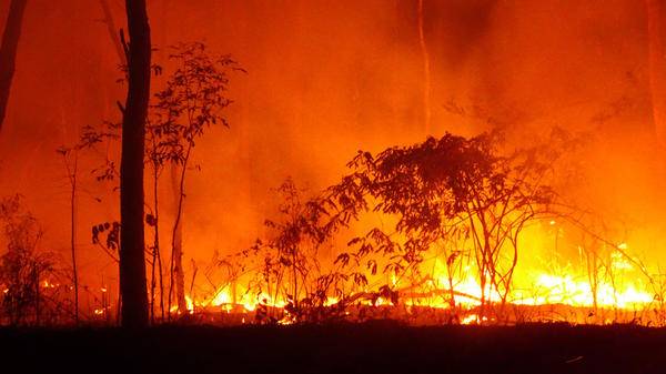Queensland bushfire