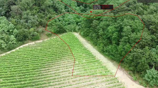 Flysight