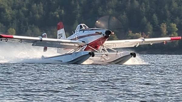 Momentum Heatwave floats