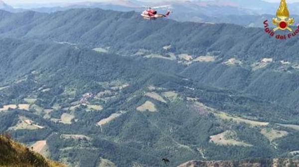 Horse airlifted from Mount Nerone