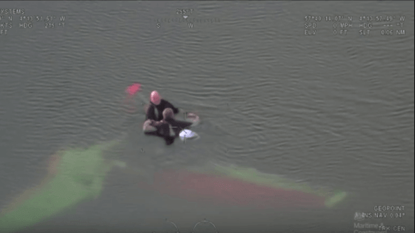 Sea rescue follows microlight crash