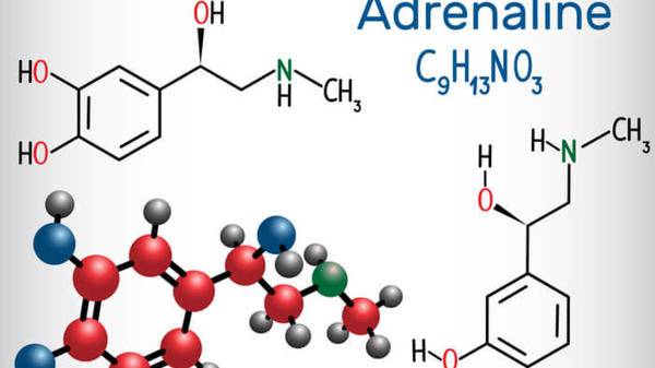 In-flight treatment for anaphylactic patients 