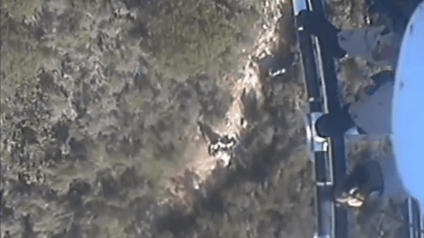 Injured jogger rescued