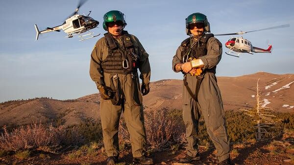 Pilots