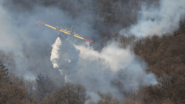 Plane putting out forest fire