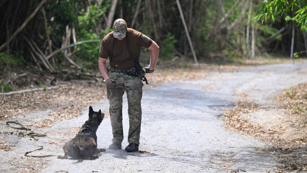 Military personnel with dog